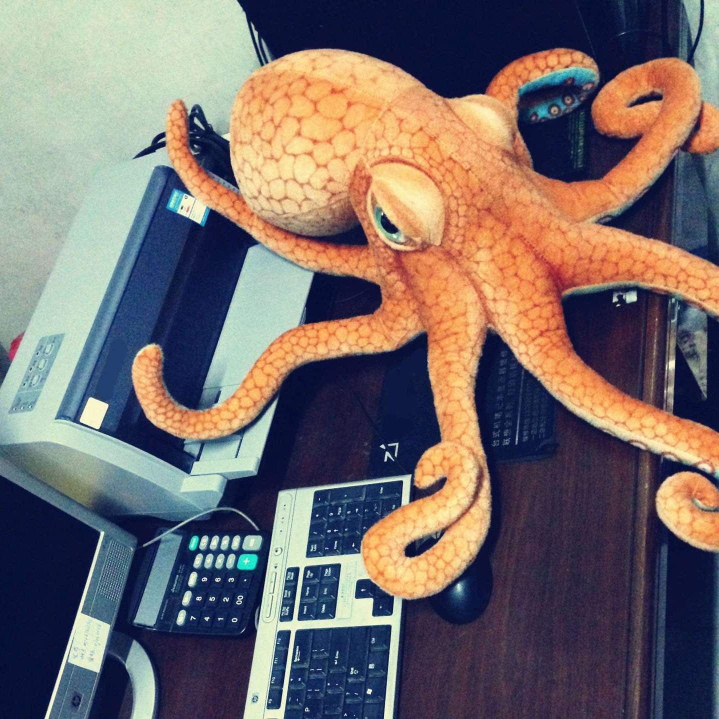 Kinky Cloth Stuffed Animal Big Kraken Octopus Stuffie