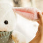Cute Bunny with Sweaters Plush Doll