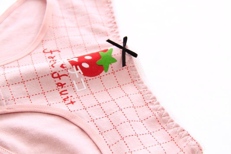 Hoags Object Lingerie Kawaii Fruit Underwear