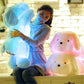 LED Dog Stuffie