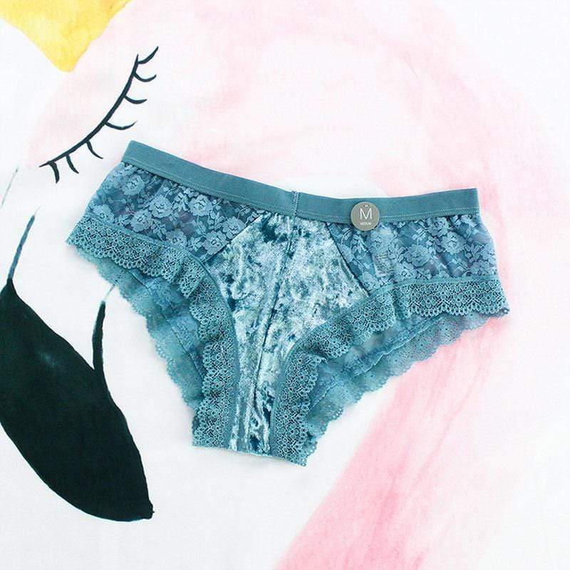 Vintage Lace Brief Panties